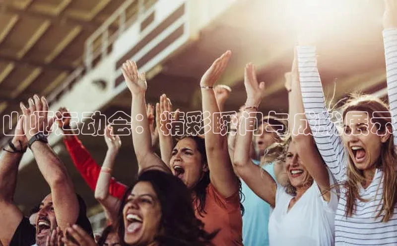 TB体育app官方网站路畅科技山师运动会：精彩瞬间与成就展示