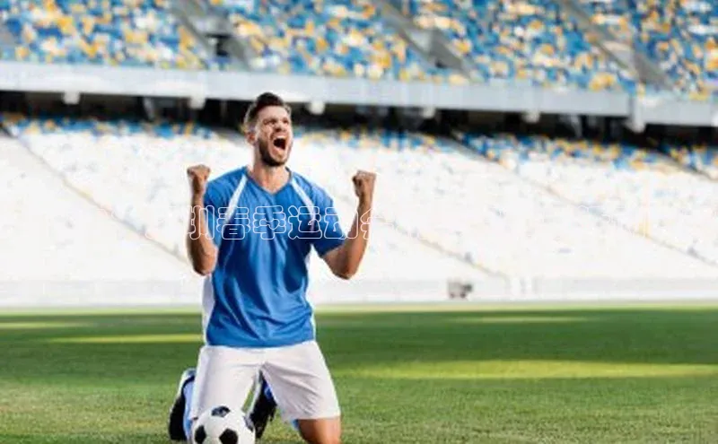 春之韵：深圳春季运动会精彩赛事与活动一览