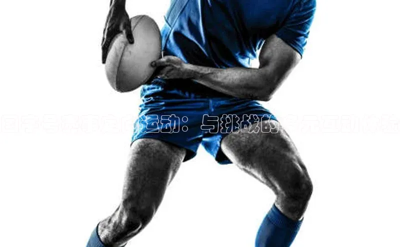 国字号赛事定向运动：与挑战的多元互动体验