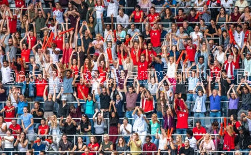 定向运动：自然之美与挑战极限的另一面