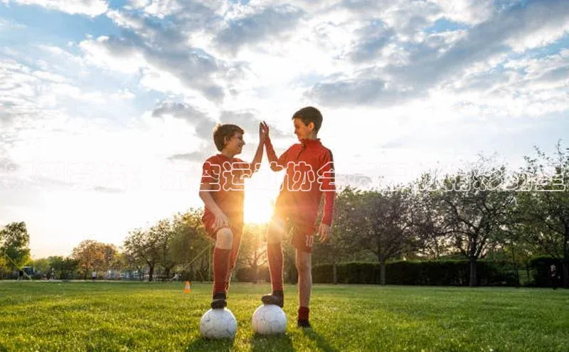 翱翔竞技：航空运动协会赛事的精彩纷呈