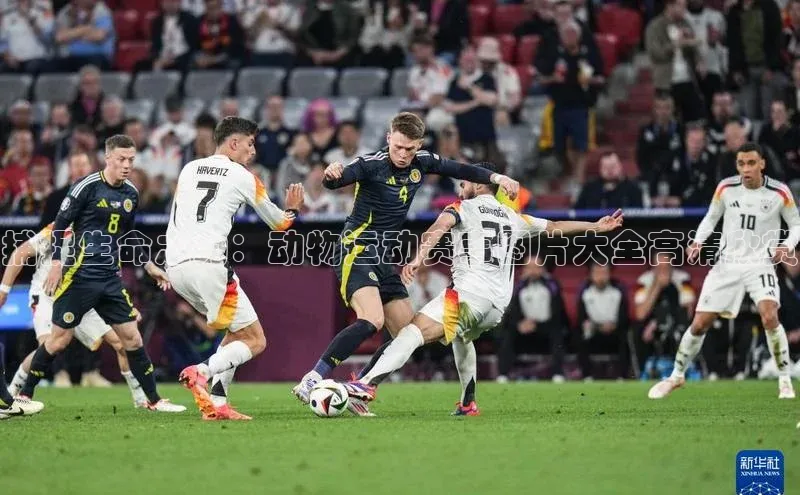 捕捉生命之力：动物运动赛事图片大全高清欣赏