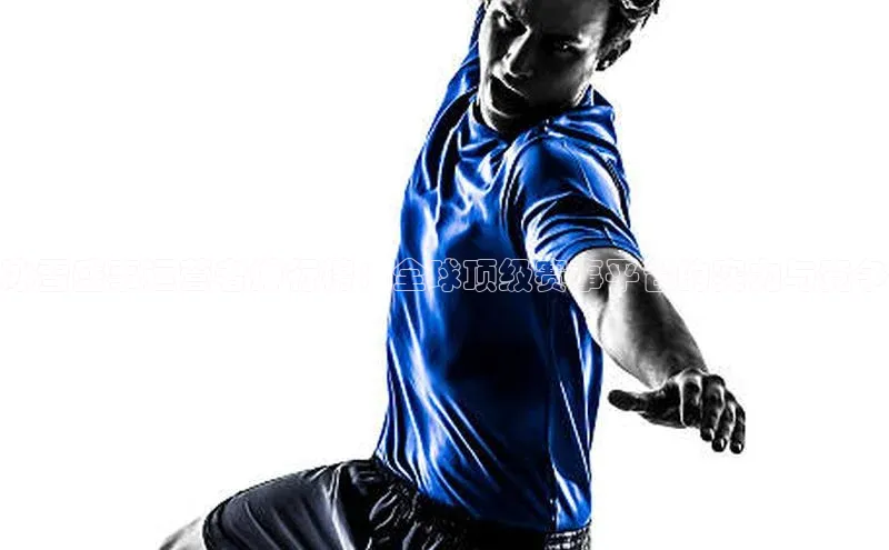 冰雪盛事运营者排行榜：全球顶级赛事平台的实力与竞争