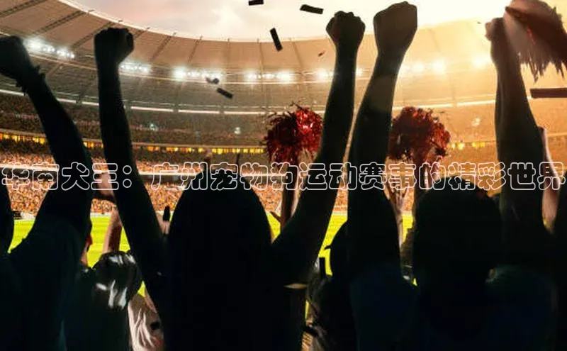 天博TB·体育登录入口