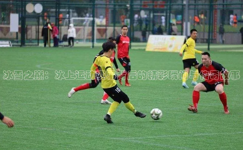 TB体育app官方网站