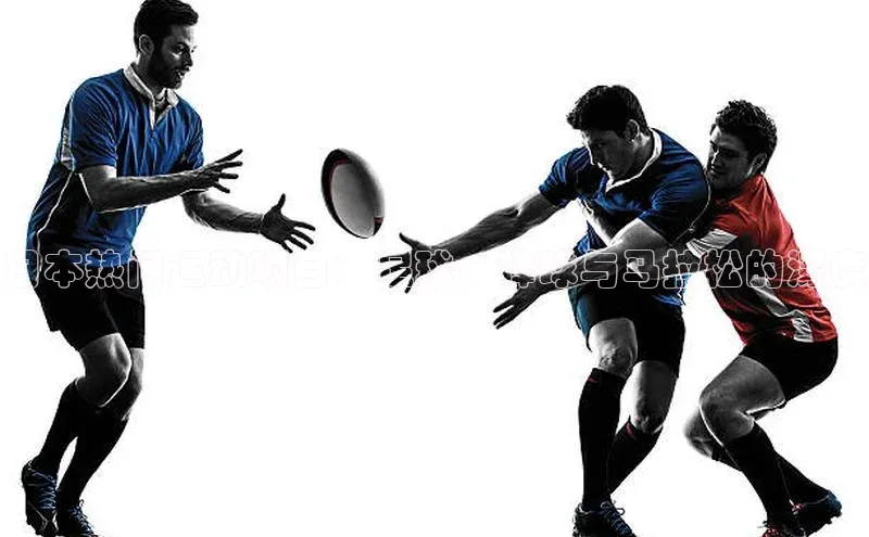 天博平台app官方入口