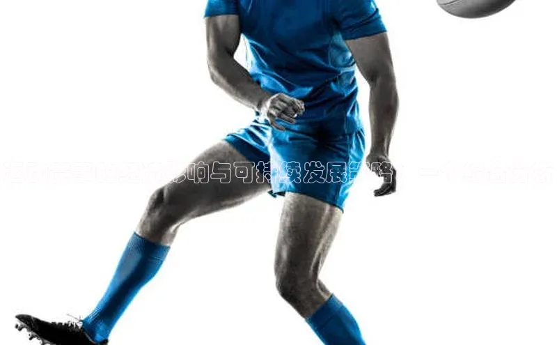 运动赛事的经济影响与可持续发展策略：一个综合分析